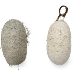 Seri Biotechnological Perspectives on Microclimate-Mediated Variation in Post-Cocoon Traits of Tasar Silkworm, Antheraea mylitta Drury